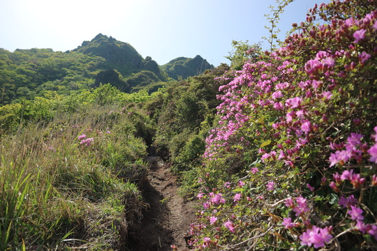 由布岳山行（塚原登山道～東登山道を歩く）！_e0272335_5564569.jpg