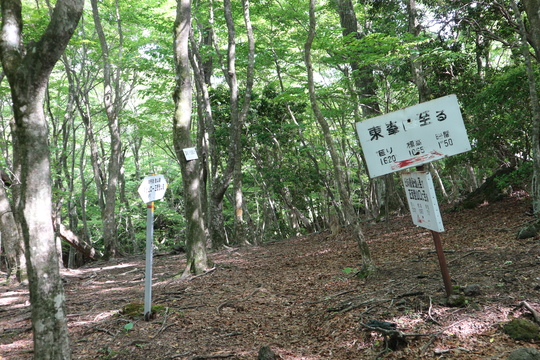 由布岳山行（塚原登山道～東登山道を歩く）！_e0272335_7463967.jpg