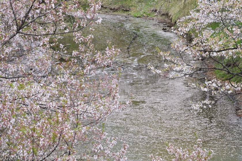 e0362037_13134421.jpg