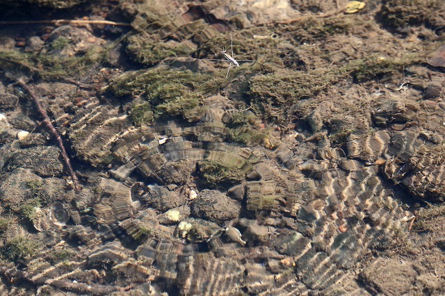 a0242438_20284952.jpg