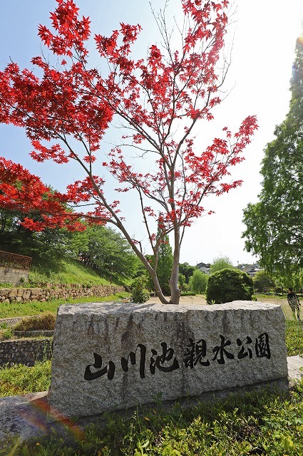 a0242438_20305179.jpg