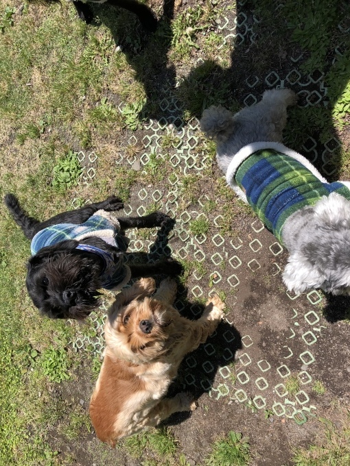 b0369239_15504949.jpeg