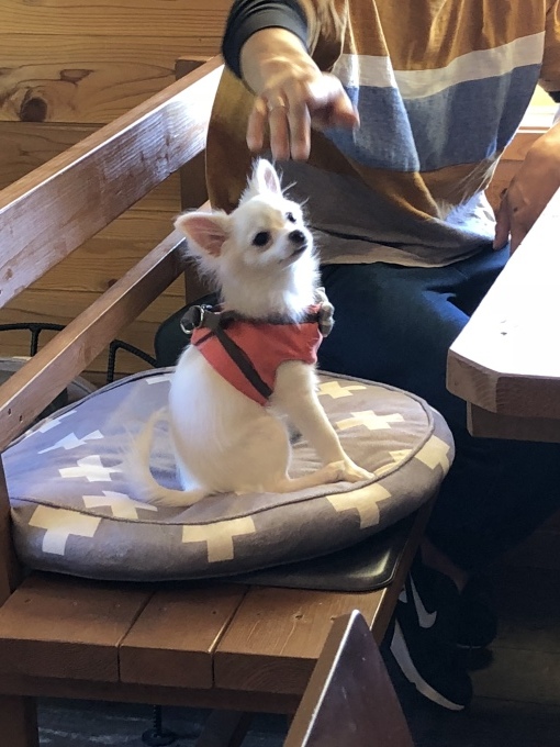 b0369239_15510557.jpeg
