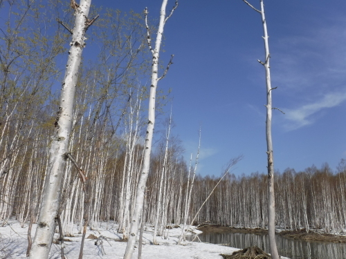 e0242439_01080587.jpg
