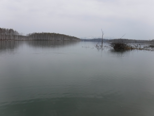 e0242439_01452789.jpg