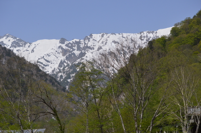 クモマツマキチョウ　5月16日_d0254540_19391878.jpg