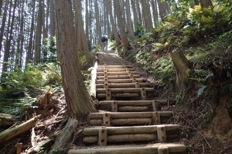 大和葛城山_c0218841_21374000.jpg