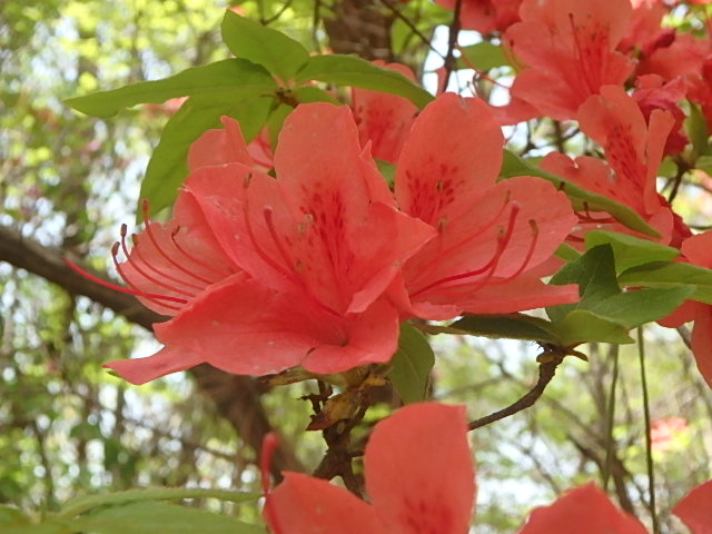 f0334143_7253252.jpg