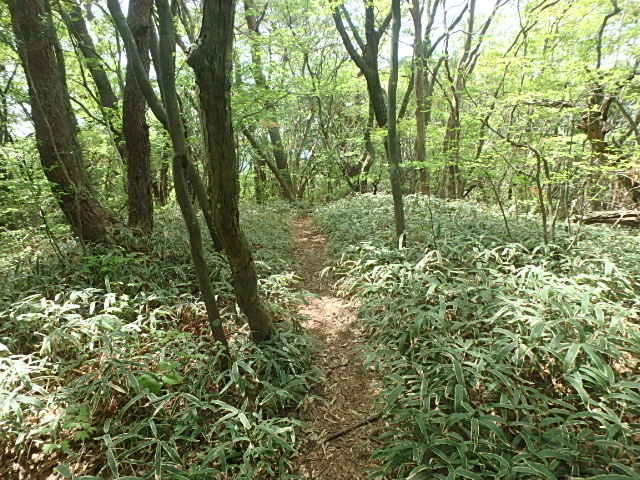 f0334143_7281762.jpg