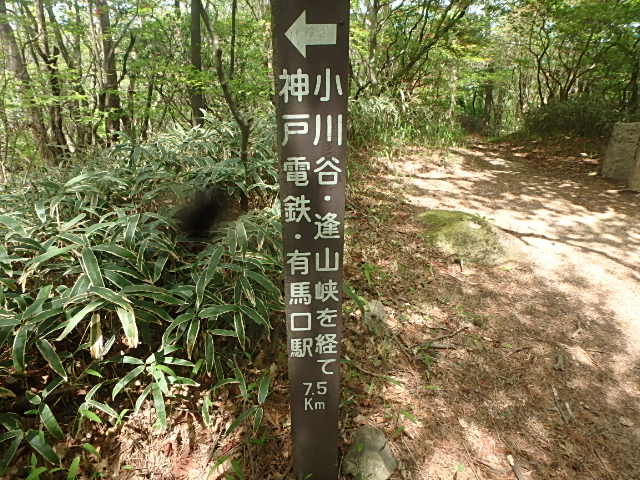 f0334143_728682.jpg
