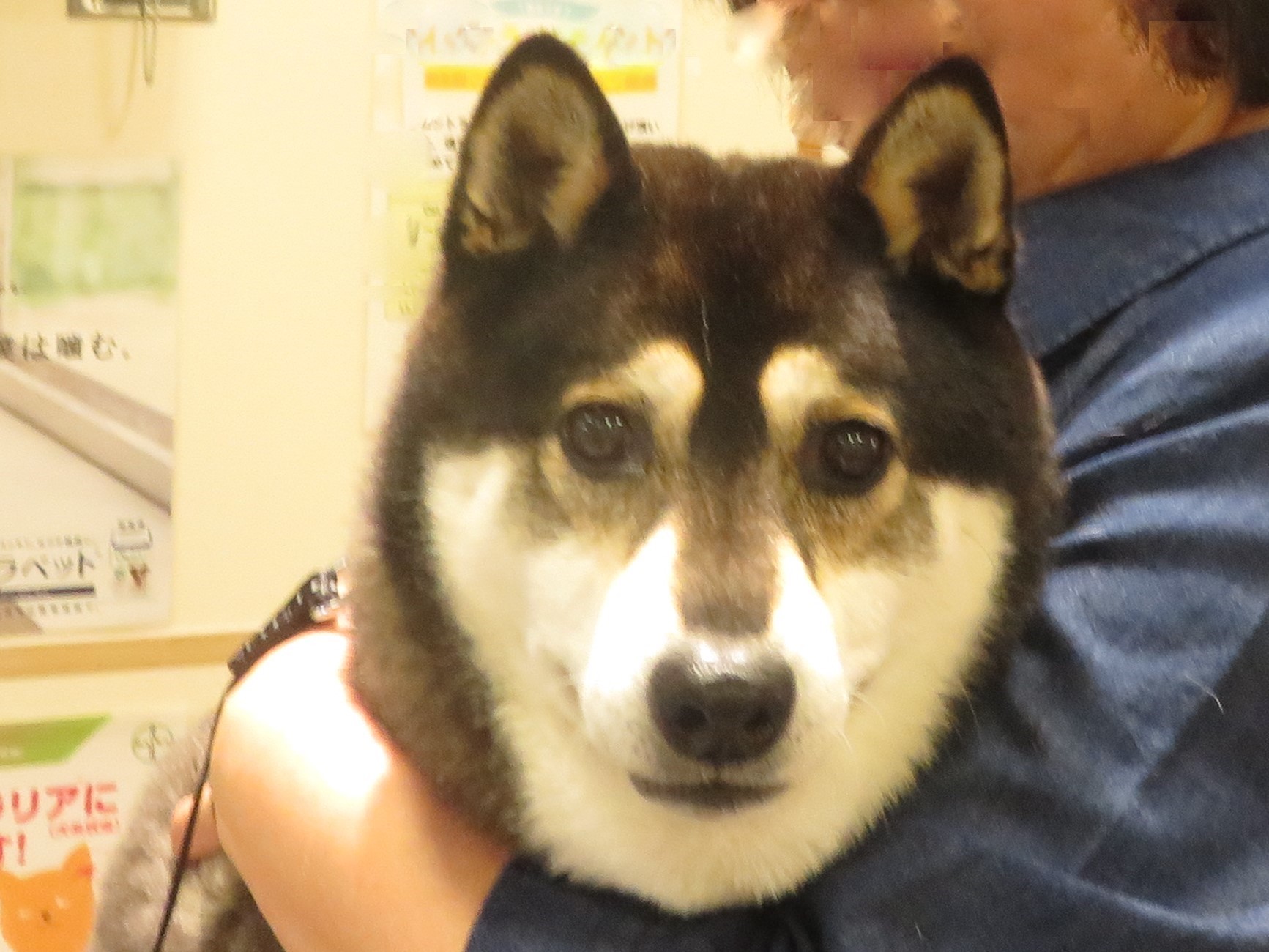 c0174644_13115344.jpg