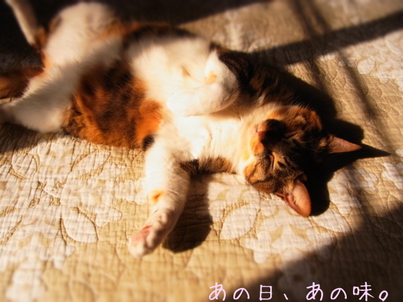 a0305046_08592945.jpg