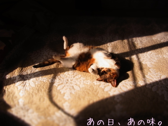 a0305046_08595402.jpg