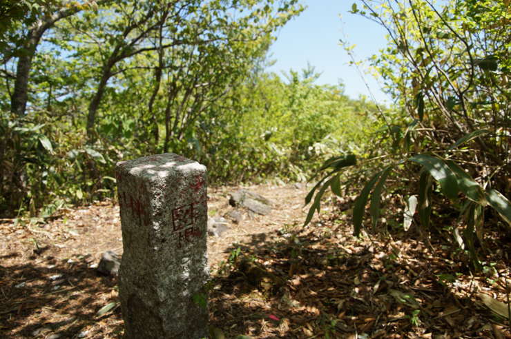 f0214649_11304526.jpg