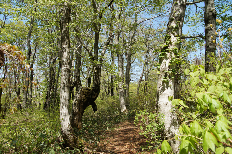 f0214649_13111302.jpg