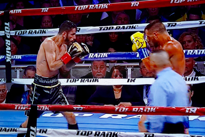 ボクシング］ロマチェンコ vs リナレス 最速で3階級制覇 : 新・日々の雑感