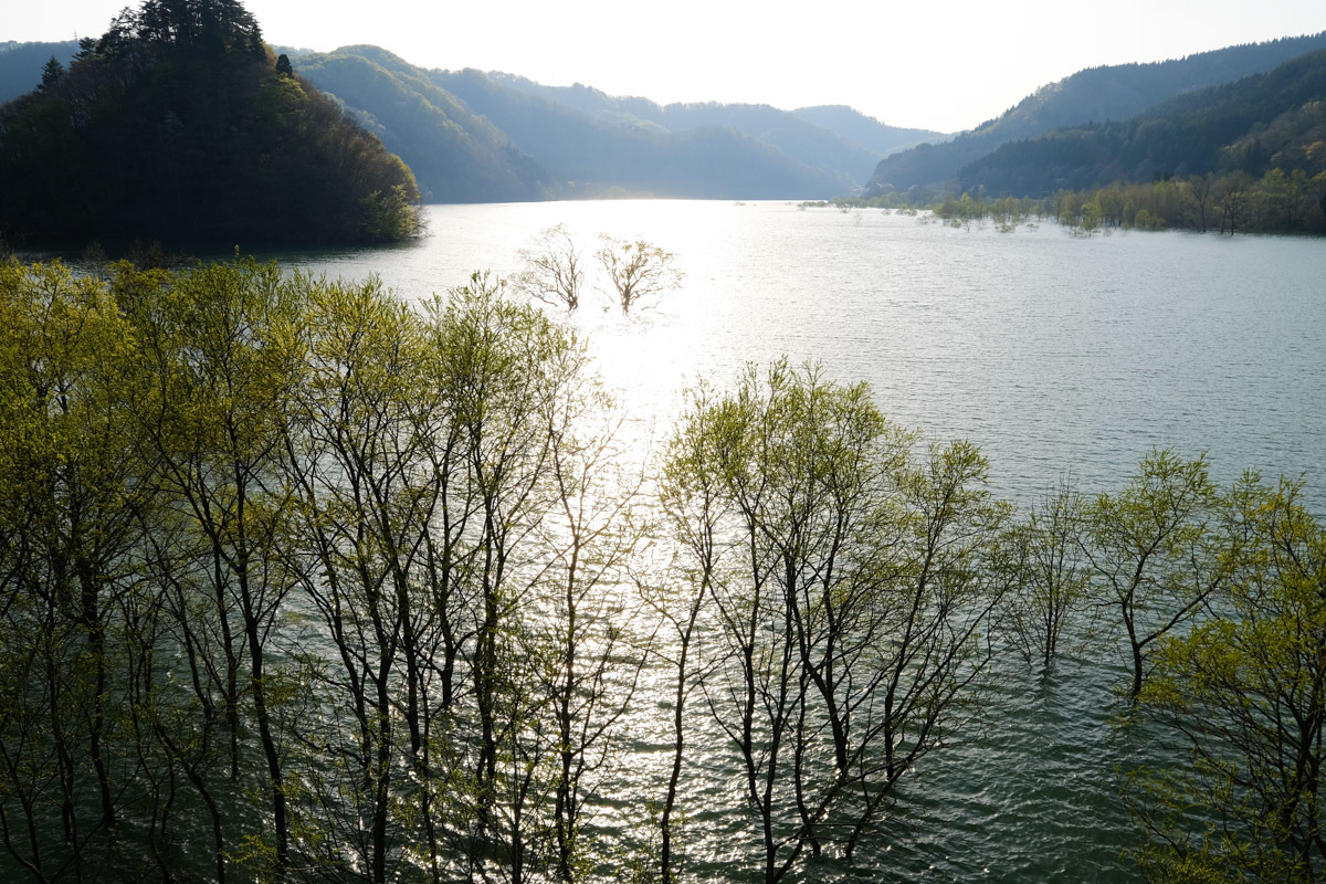 c0084666_21104672.jpg