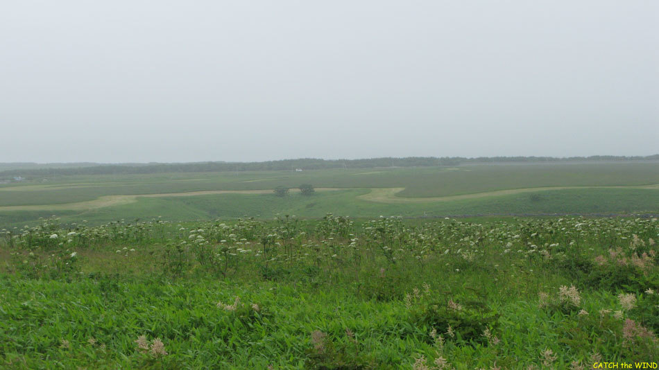 c0190971_23545883.jpg