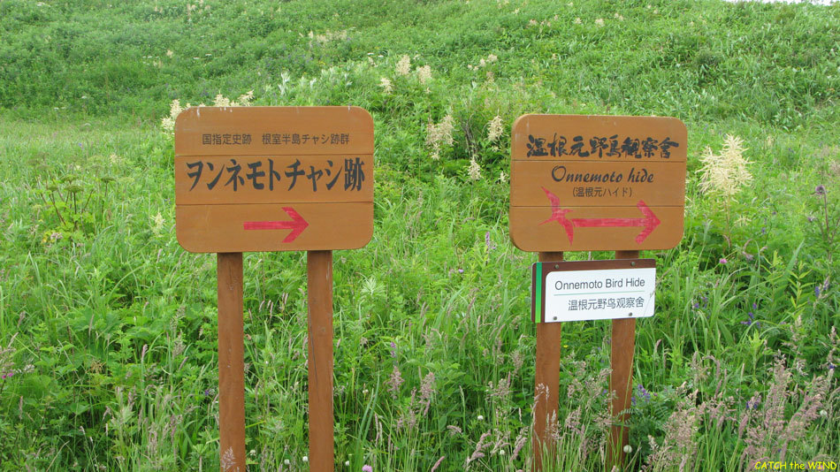 c0190971_23564644.jpg
