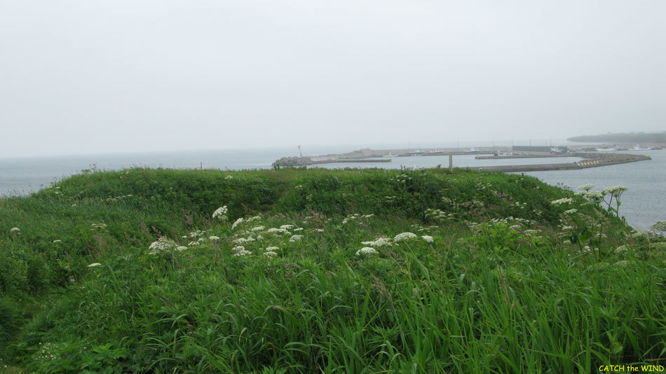 c0190971_23574795.jpg