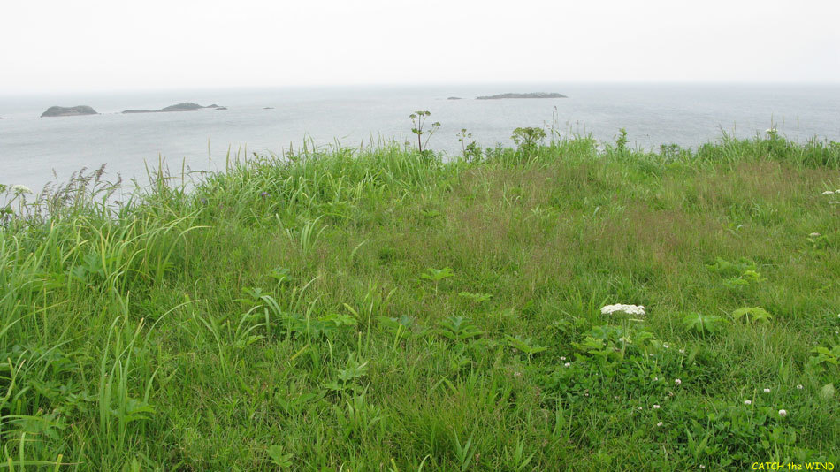 c0190971_23585654.jpg