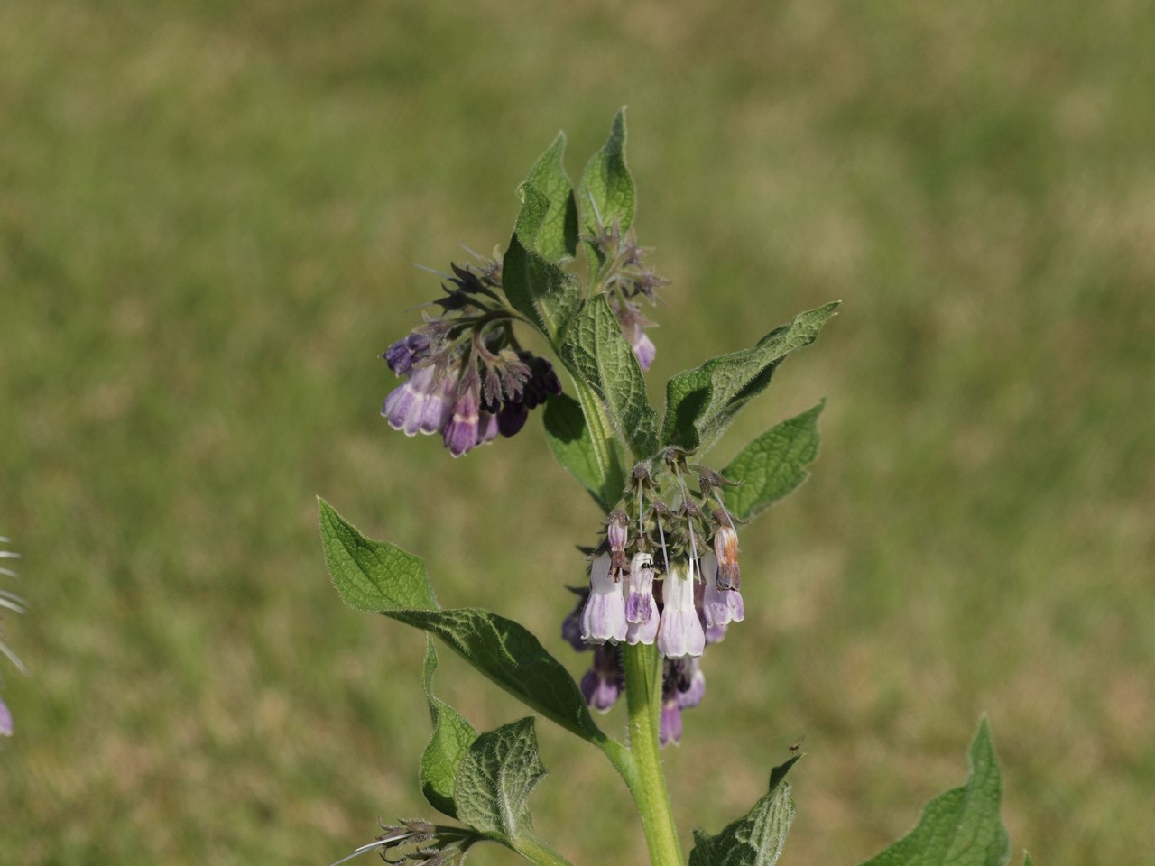 d0054276_20402932.jpg