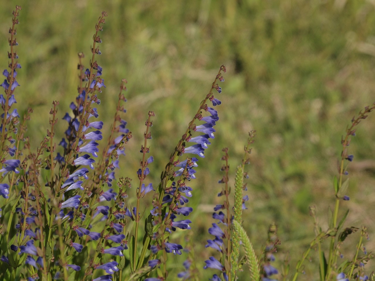 d0054276_20412288.jpg