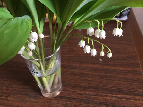 c0380878_07073830.jpg