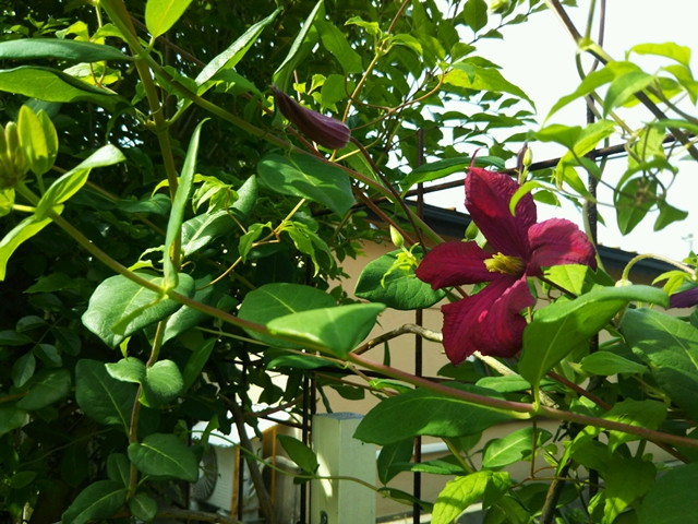 f0366679_22383364.jpg