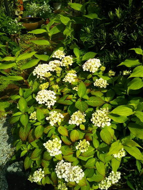f0366679_2249172.jpg