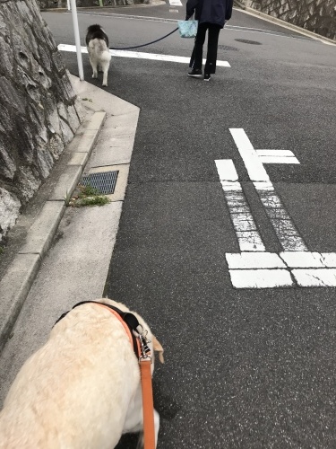 f0315081_17491123.jpeg