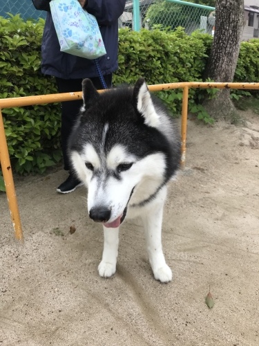 f0315081_17493682.jpeg