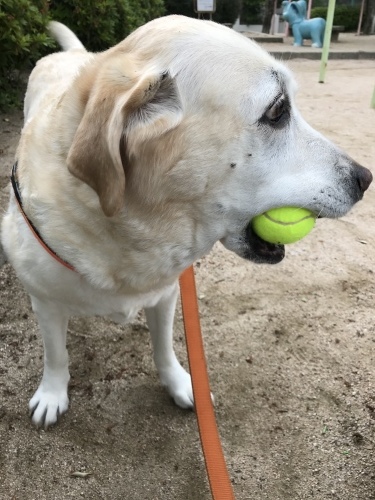 f0315081_17512309.jpeg