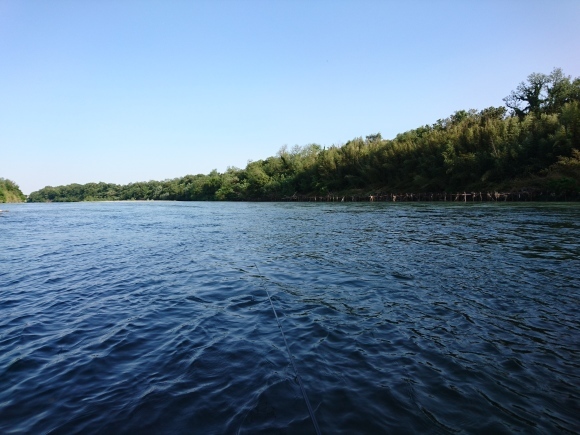 c0157482_10363336.jpg