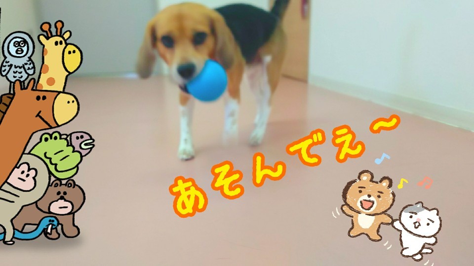 タッチ!!!!_f0357682_04115300.jpg