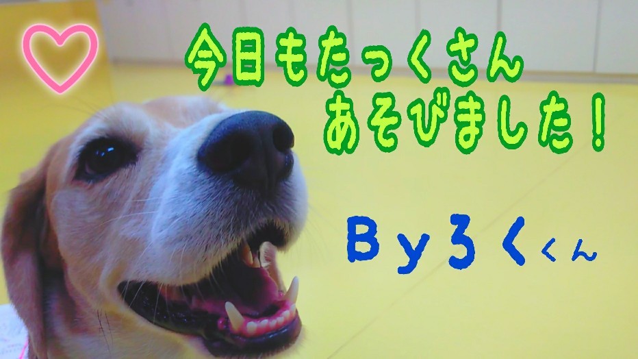 タッチ!!!!_f0357682_04272376.jpg