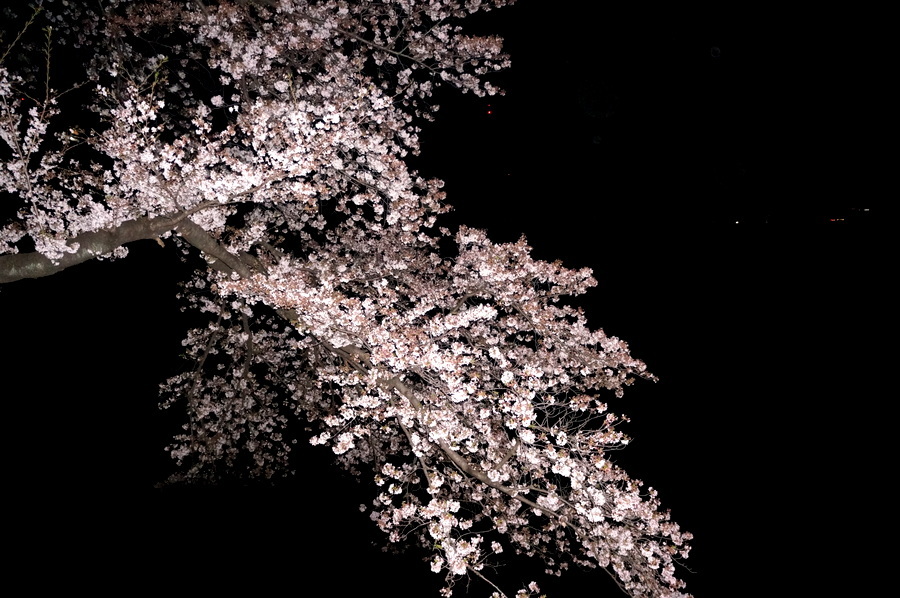 c0180686_20043350.jpg