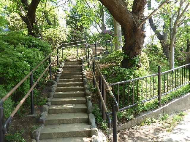 港区三田の芝桜とおしろい地蔵さま♪　去年もお願いにいったんだけどね♪_b0287088_17374620.jpg