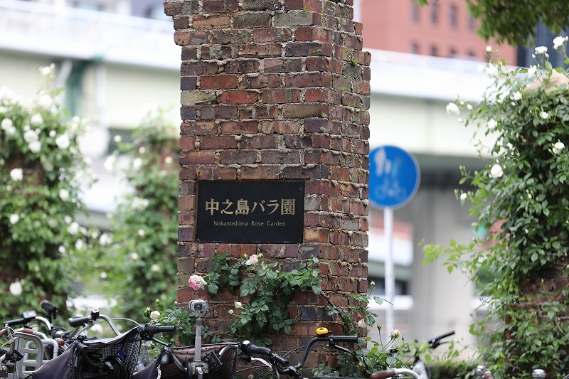 b0190092_21255073.jpg