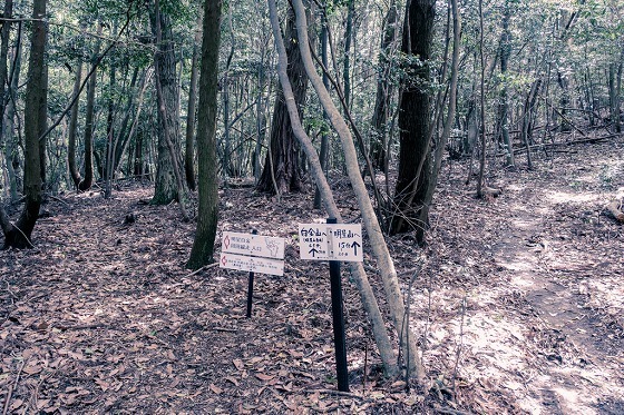e0176993_06523754.jpg