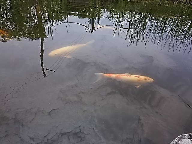f0303594_20301448.jpg