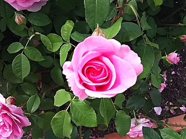 f0303594_20314148.jpg