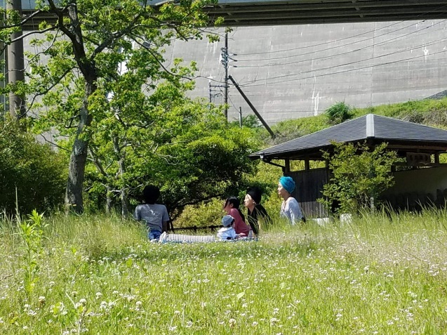 d0157497_22454829.jpeg