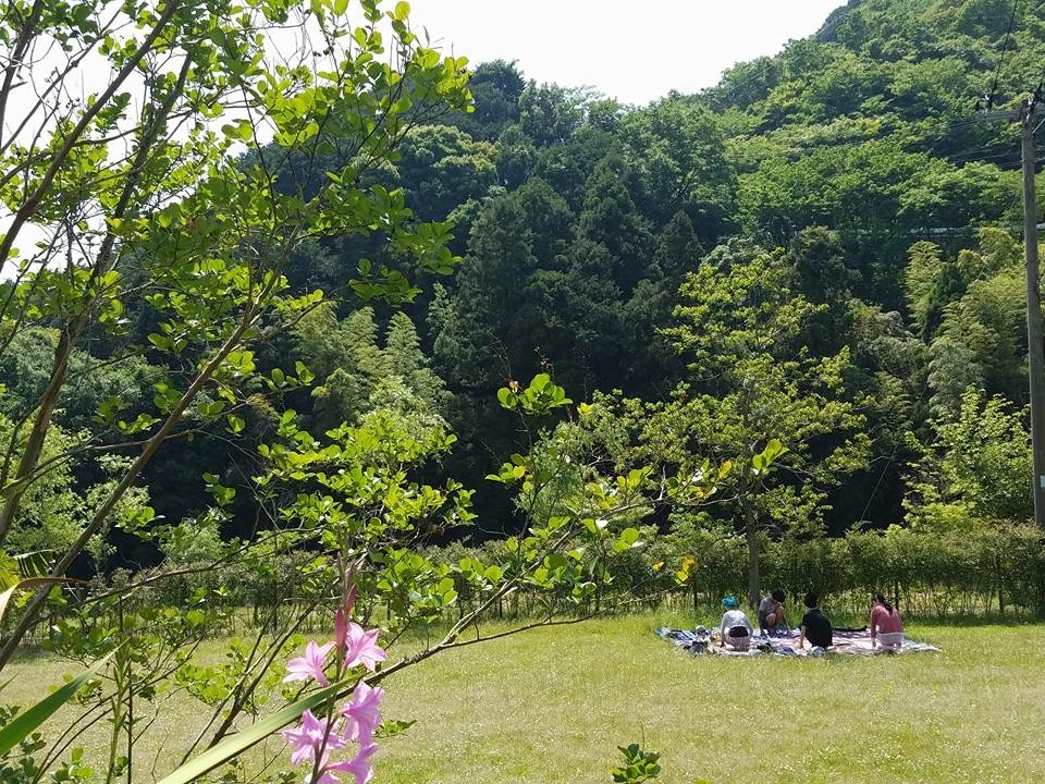 d0157497_22532251.jpeg