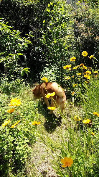 c0221299_16541320.jpg