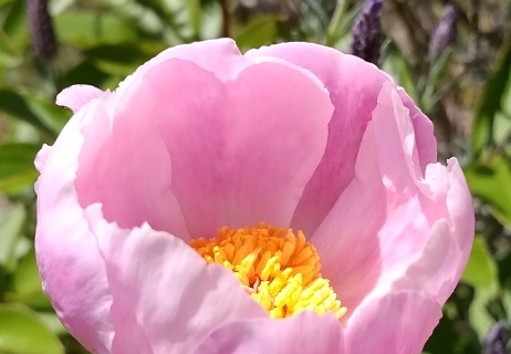 a0236300_17042342.jpg