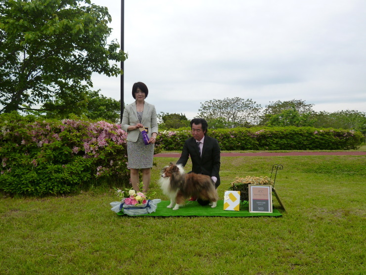 2018年鳥取県支部60周年記念展_a0159101_22243618.jpg