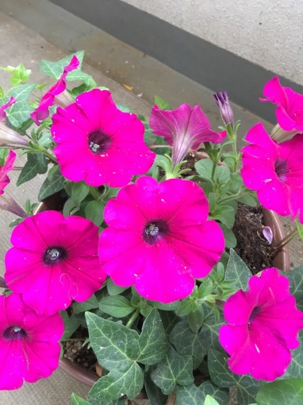 c0109109_20274861.jpeg