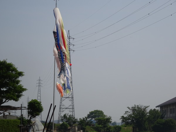 f0231709_10271448.jpg