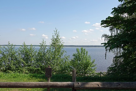 a0151913_77192.jpg